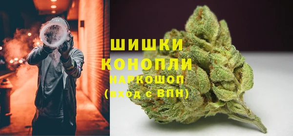кристаллы Гусев
